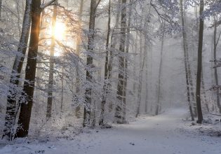 Ρώσος κρύβεται από την επιστράτευση του Πούτιν ζώντας απομονωμένος στο δάσος