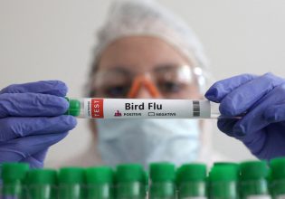 Γρίπη των πτηνών: Οι φαρμακοβιομηχανίες ετοιμάζουν εμβόλια για κάθε ενδεχόμενο