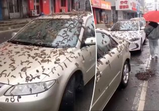 «Βροχή σκουληκιών» στην Κίνα – Τι είναι το φαινόμενα αυτό