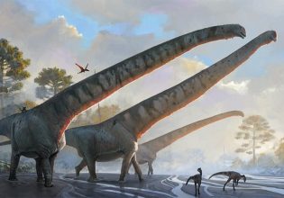 Δεινόσαυρος από την Κίνα είχε τον μακρύτερο λαιμό που γνωρίζουμε