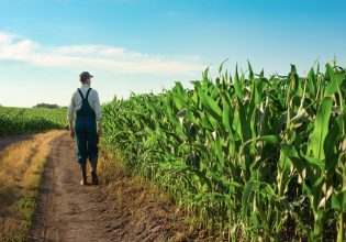 Μητρώο Αγροτών: Τα δικαιολογητικά για την χορήγηση βεβαιώσεων