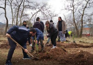 Τέμπη: Φοιτητές από το Καρπενήσι φύτευσαν 57 κυπαρίσσια στην μνήμη των νεκρών