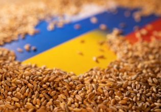 Ρωσία: «Σκόρπισε είκοσι τόνους ουκρανικό σιτάρι» σε δρόμο έξω από τη Μαριούπολη