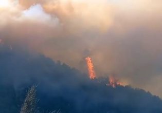 Φθιώτιδα: Μεγάλη φωτά σε πευκόφυτη περιοχή στην Μενδενίτσα