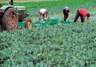Αγρότες: «Καμπανάκι» για τους εργάτες γης – Καθυστερήσεις στις μετακλήσεις