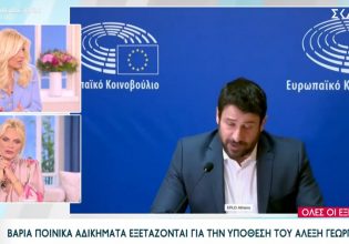 Φαίη Σκορδά για Αλέξη Γεωργούλη: «Είναι άσχετο το να είσαι όμορφος»