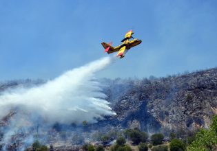 Φωτιά στη Φθιώτιδα – Στη «μάχη» και δύο αεροπλάνα