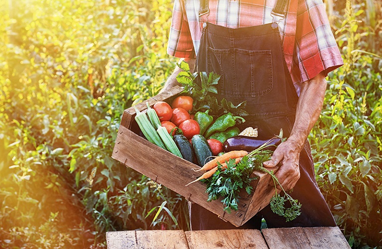 EFSA: Υπάρχουν υπολείμματα φυτοφαρμάκων στα τρόφιμα; - Ποια προϊόντα ελέγχονται
