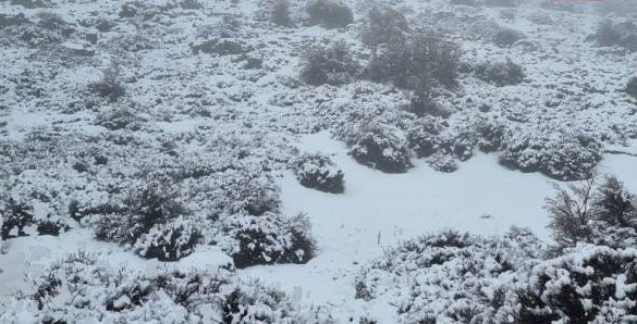 Χιονίζει στην Κρήτη - Στα λευκά ο Ψηλορείτης- Δείτε βίντεο