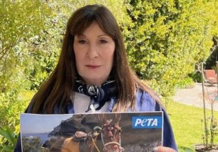 Η Αντζέλικα Χιούστον και η PETA προς τον Μητσοτάκη: «Σταματήστε την εκμετάλλευση με γαϊδούρια στη Σαντορίνη!»