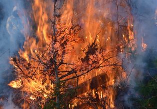 Τραγωδία στη Μυτιλήνη: Πήγε να βάλει φωτιά σε κλαδιά και κάηκε ζωντανή