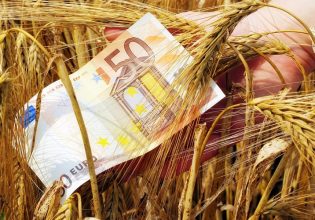 De minimis: Πήραν ΦΕΚ οι ενισχύσεις – Τα ποσά και τα προϊόντα
