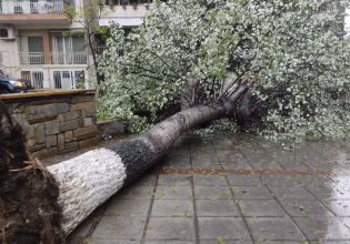 Κακοκαιρία Ilina: Πτώσεις δέντρων στη Θεσσαλονίκη – Υπερχείλισε ο Αλιάκμονας