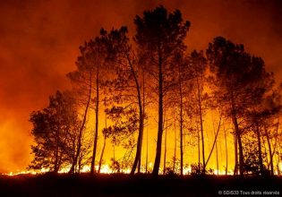 Κλιματική αλλαγή: Με τις πυρκαγιές να αγριεύουν, η Γαλλία απαγορεύει το κάπνισμα στα δάση