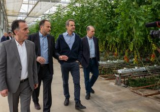 Greek PM Mitsotakis visits largest greenhouse in SE Europe, in Thrace