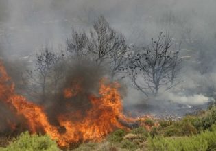 Νέα φωτιά στον Ασπρόπυργο: Σηκώθηκαν εναέρια πυροσβεστικά μέσα