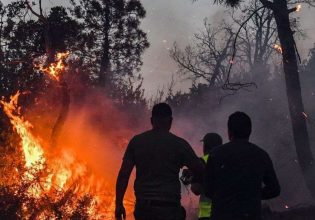 Πυρκαγιές στην Αλγερία: Τουλάχιστον 34 νεκροί και δεκάδες τραυματίες