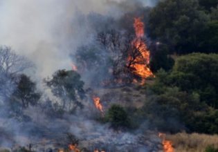 Φωτιά στη Σάμο: Μεγάλη κινητοποίηση της Πυροσβεστικής