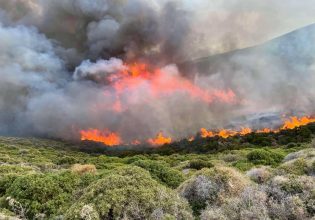 Φωτιά: Πού υπάρχει πολύ υψηλός κίνδυνος πυρκαγιάς την Τρίτη