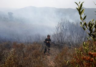 Φωτιά στην Αλγερία: Έσβησε το 80% των περισσότερων πυρκαγιών