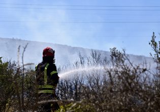 Καταστροφικές πυρκαγιές προκαλεί ο καύσωνας στην Νότια Ευρώπη