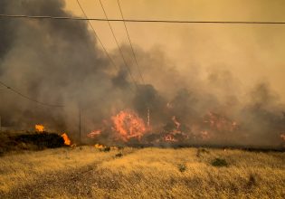 Αρτοποιός: Από τις 13 Ιουλίου έχουν εκδηλωθεί 500 πυρκαγιές