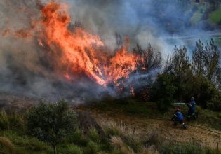 Μεσολόγγι: Φωτιά σε δασική έκταση στο Πλατυγιάλι Αστακού