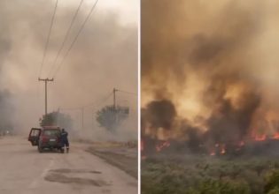 Φωτιά στη Μαγνησία: Το ξέσπασμα του γιου της 67χρονης που κάηκε στο τροχόσπιτό της
