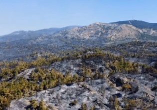 Φωτιά στη Ρόδο: «Κρανίου τόπος» το νότιο τμήμα του νησιού – Τρομακτικές καταστροφές και δεκάδες οικόσιτα ζώα νεκρά