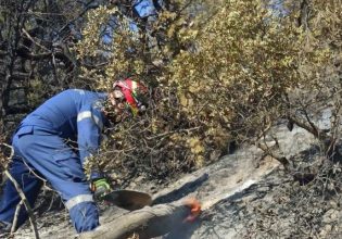 Επί ποδός οι ένοπλες δυνάμεις το Σαββατοκύριακο για την αποφυγή πυρκαγιών