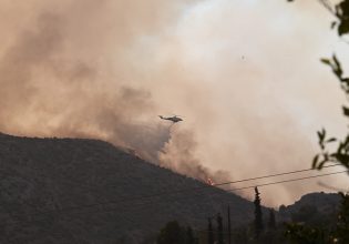 Φωτιά στην Μαγνησία: Κατεπείγουσα προανακριτική εξέταση από την Εισαγγελία για τις καταστροφικές πυρκαγιές