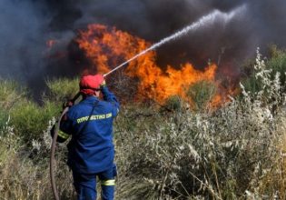 Πυροσβεστική: 50 δασικές πυρκαγιές το τελευταίο 24ωρο – Ο χάρτης κινδύνου για αύριο Δευτέρα