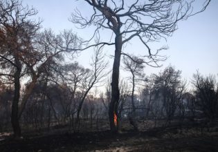 Φωτιές: Πλήρης άρση των κυκλοφοριακών ρυθμίσεων στα Δερβενοχώρια