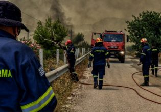 Φωτιές στην Αττική: «Τα εναέρια μέσα δεν αποτελούν πανάκεια για τις δασικές πυρκαγιές»
