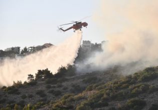 Φωτιά στην Άσσηρο Θεσσαλονίκης – Στη «μάχη» και ελικόπτερο