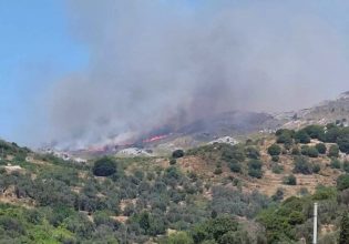 Φωτιά στη Νάξο: Οριοθετήθηκε η πυρκαγιά – Κάηκαν 2.000 στρέμματα