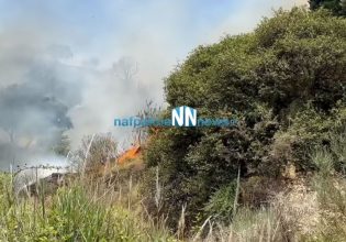 Φωτιά στη Ναύπακτο: Οριοθετήθηκε η πυρκαγιά – Επί ποδός ισχυρές δυνάμεις