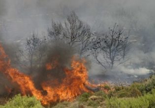 Πυρκαγιές: Ο χάρτης κινδύνου για την Τετάρτη – Σε ποιες περιοχές στρέφεται η προσοχή