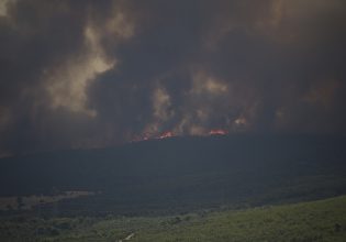 Φωτιές στην Αττική: Πικρία και απογοήτευση στο Twitter – «Φωτιά σημαίνει θάνατος»