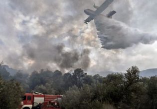 Φωτιές στoν Τύρναβο Λάρισας και τη Λακωνία – Επιχειρούν ισχυρές δυνάμεις της Πυροσβεστικής