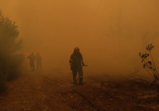 Λέκκας: Οι δασικές πυρκαγιές πυροδοτούν την κλιματική κρίση