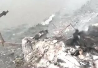 Αλμυρός: Λίγα μέτρα από τη θάλασσα απανθρακώθηκε η άτυχη γυναίκα