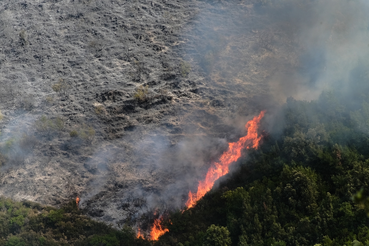 Φωτιές: Ακραίος κίνδυνος πυρκαγιάς την Τρίτη - Οι περιοχές σε κατάσταση συναγερμού