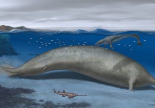 Προϊστορική φάλαινα με χέρια ίσως ήταν το βαρύτερο ζώο που έζησε ποτέ