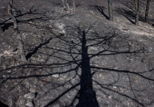 Κλιματική αλλαγή: Έφτασε η ανθρωπότητα στο σημείο χωρίς επιστροφή; Στα αέρια του θερμοκηπίου η απάντηση