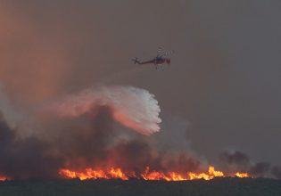 Φωτιά στον Έβρο: Μετανάστες βρέθηκαν απανθρακωμένοι στο δάσος της Δαδιάς – Τουλάχιστον 18 νεκροί