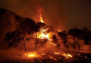 Κικίλιας για τις φωτιές: «Εξαιρετικά κρίσιμη» η κατάσταση στην Πάρνηθα