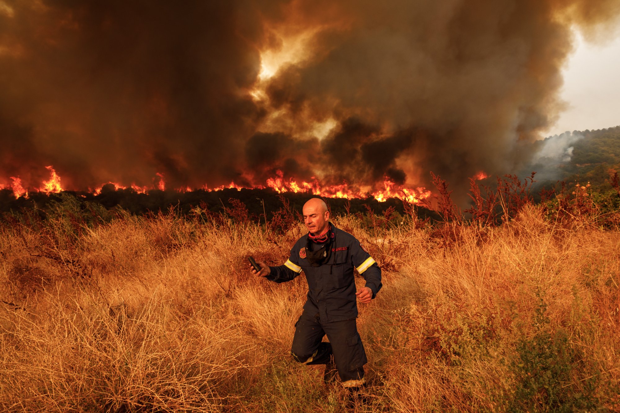 Φωτιά: «Ό,τι κάηκε πρέπει να δοθεί πίσω στην φύση» - Για πρωτοφανή οικολογική καταστροφή μιλά ο εθνοβιολόγος Παύλος Γεωργιάδης