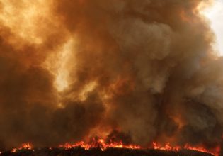 Φωτιά στον Έβρο: Επαγγέλματα απειλούνται με εξαφάνιση – Τεράστια οικολογική καταστροφή