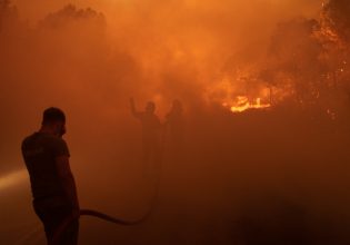 «Καμπανάκι» Συνολάκη για φωτιές: Θα έχουμε «μέγα πυρκαγιές» και του χρόνου